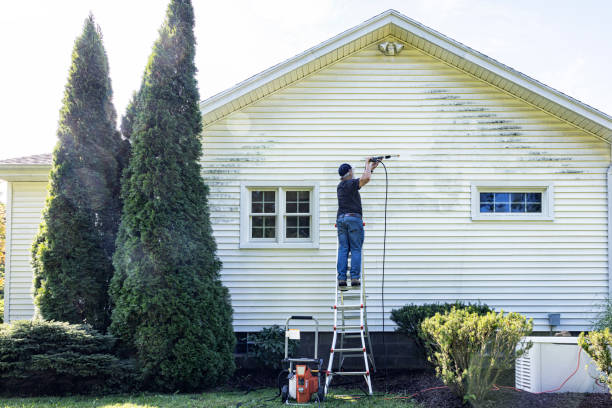 Pressure Washing Services for Businesses in Long Grove, IA