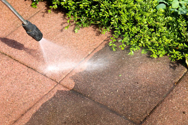 Best Exterior Home Cleaning  in Long Grove, IA